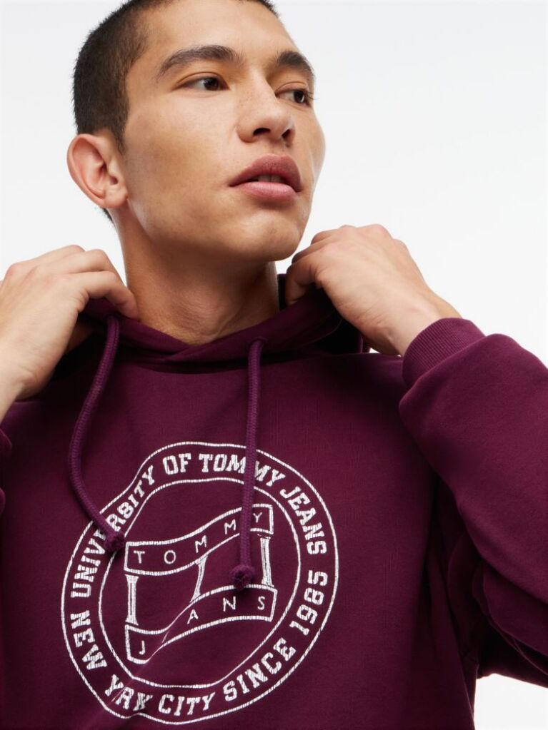 Purple Wavy Flag Graphic Terry Drawstring Hoody  Men