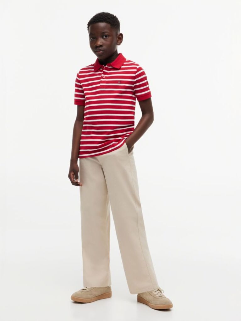 Multi Essential Flag Embroidery Regular Fit Polo  Boys