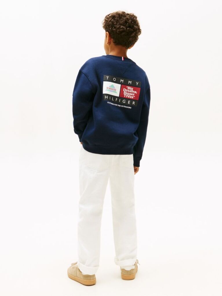 Blue Varsity Mixed Graphic Crew Neck Sweatshirt  Boys