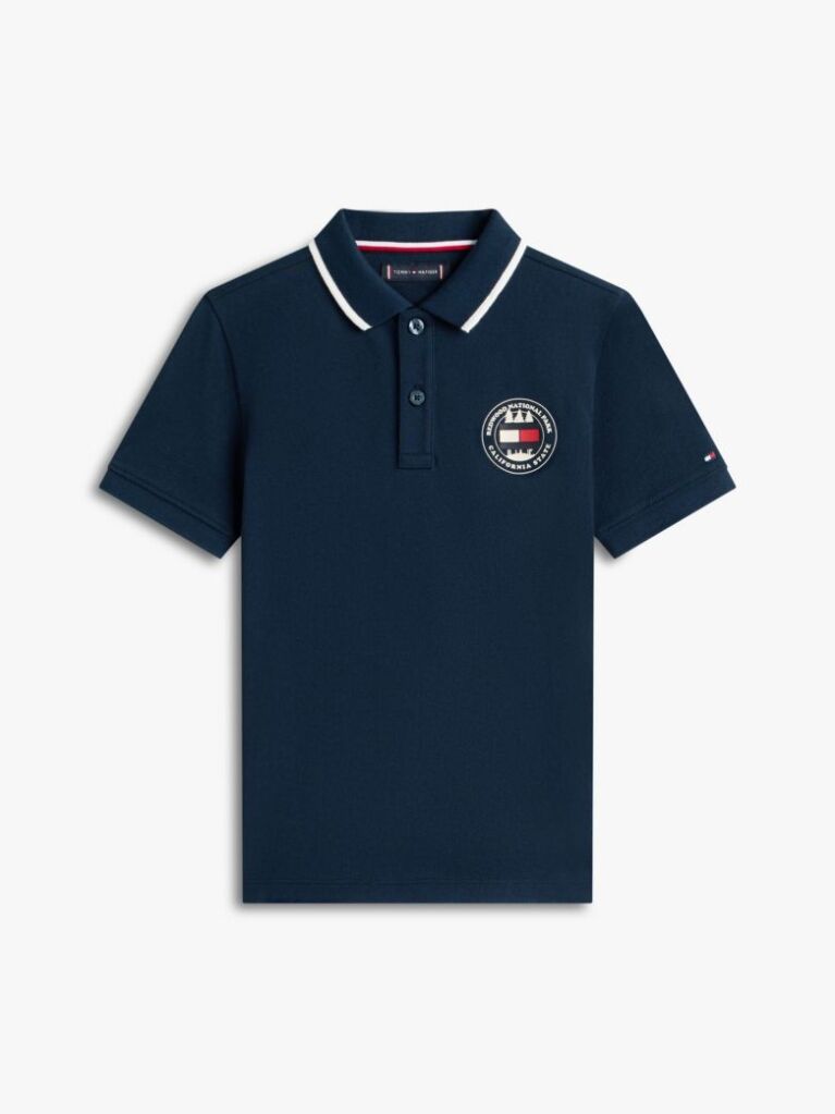 Blue Graphic Polo Knit Polo Shirt  Boys
