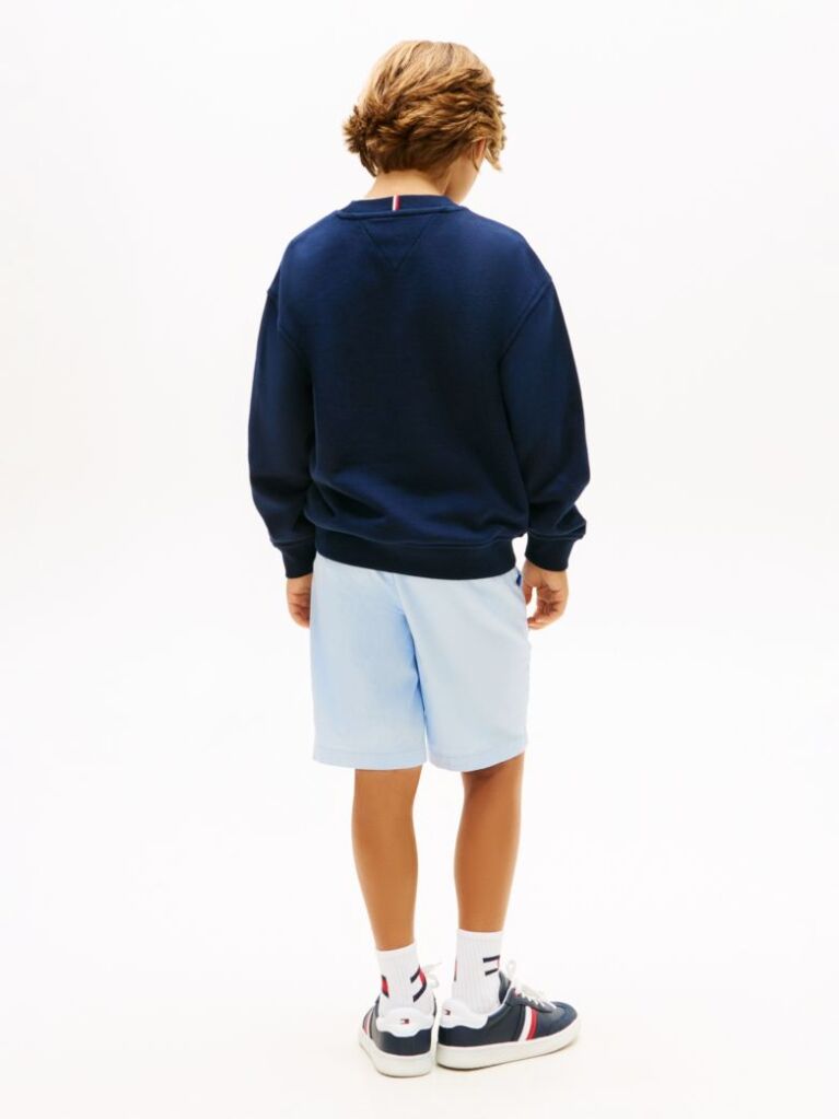 Blue Logo Embroidery Terry Crew Neck Sweatshirt  Boys