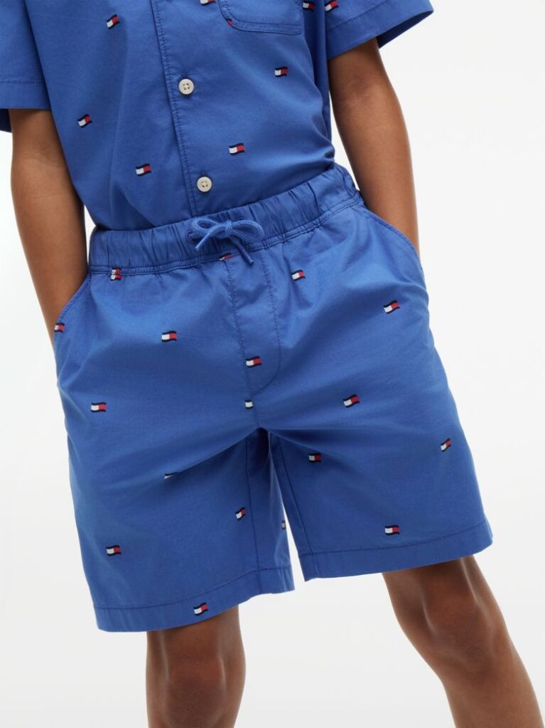 Blue Pantaloni Scurti Relaxati Din Poplin Cu Broderie Steag  Baieti