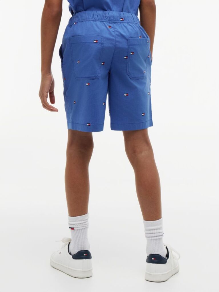 Blue Pantaloni Scurti Relaxati Din Poplin Cu Broderie Steag  Baieti