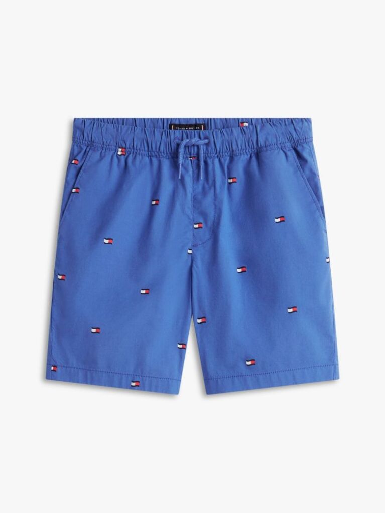 Blue Pantaloni Scurti Relaxati Din Poplin Cu Broderie Steag  Baieti