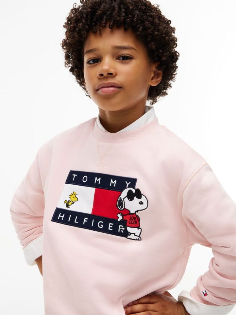 Pink Peanuts® Flag Graphic Embroidery Jumper  Kids Unisex