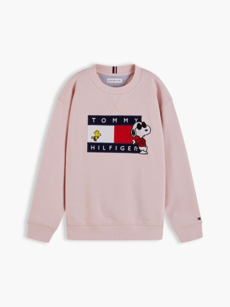 Pink Peanuts® Flag Graphic Embroidery Jumper  Kids Unisex
