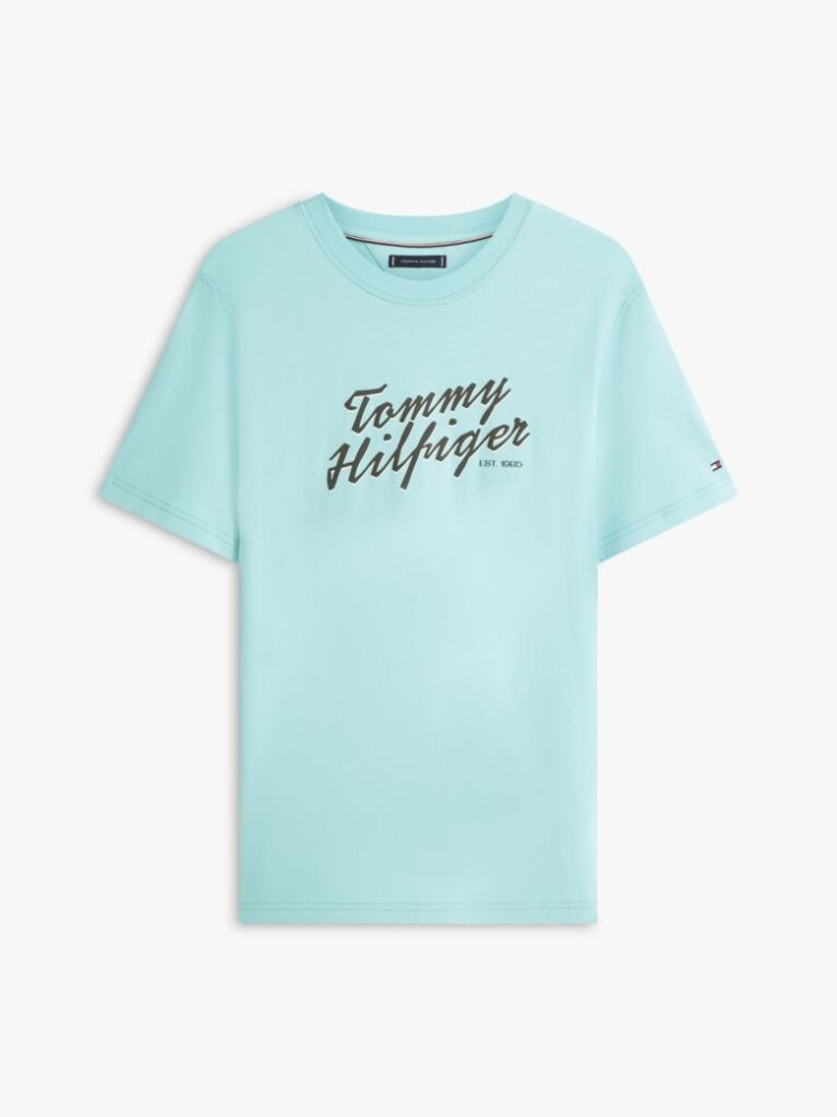 Blue Logo Graphic Crew Neck T-Shirt  Men