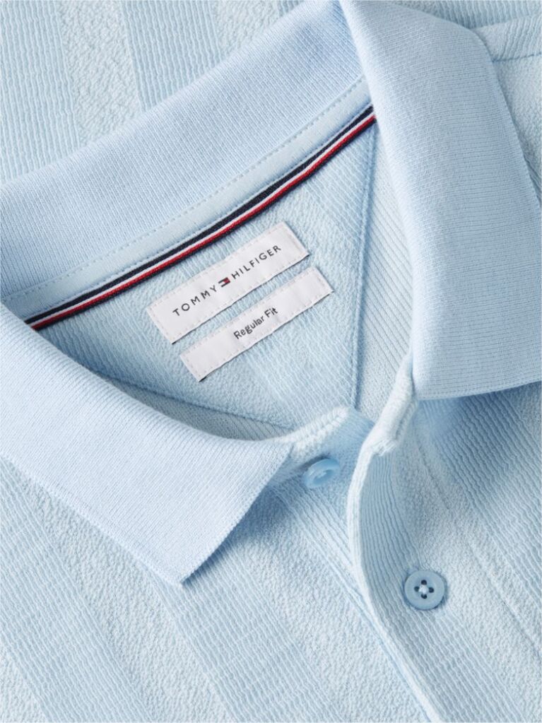 Blue Regular Fit Tonal Stripe Polo Shirt  Men