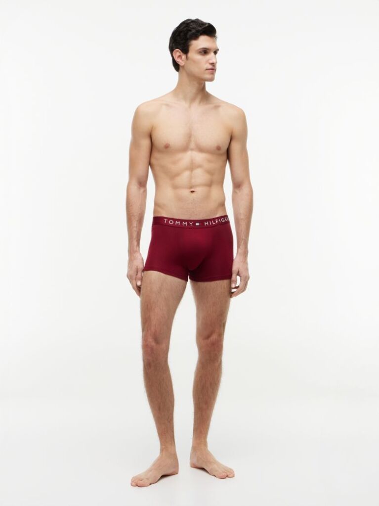 Multi 3-Pack TH Original Logo Waistband Trunks  Men