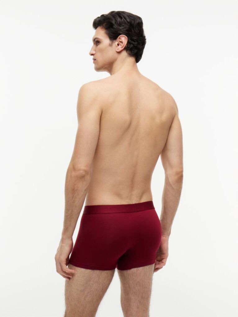 Multi 3-Pack TH Original Logo Waistband Trunks  Men