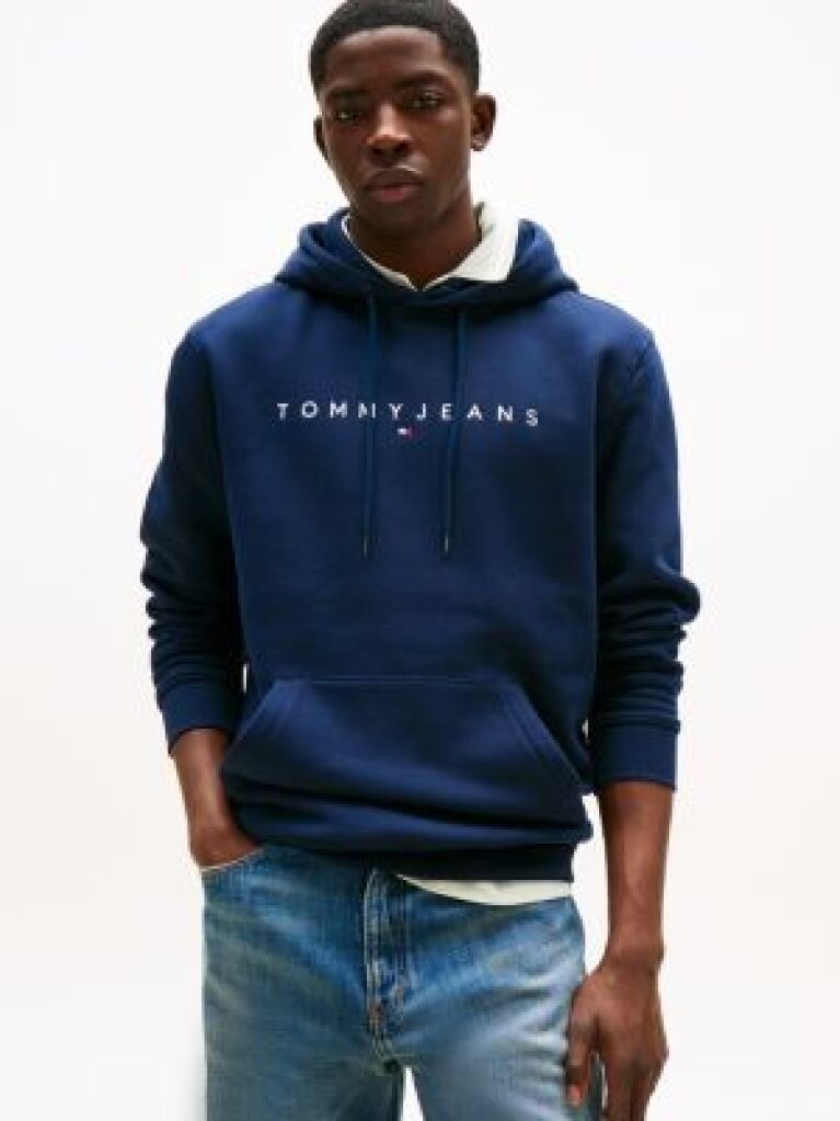 Blue Regular Logo Hoody  Men