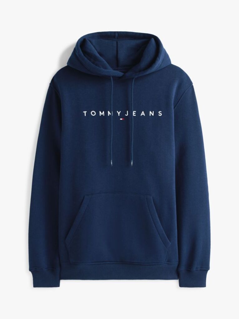 Blue Regular Logo Hoody  Men