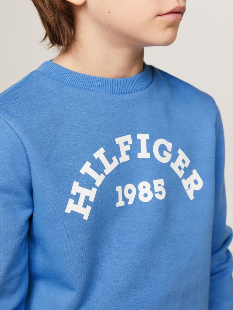 Blue Hilfiger Monotype 1985 Collection Sweatshirt  Boys
