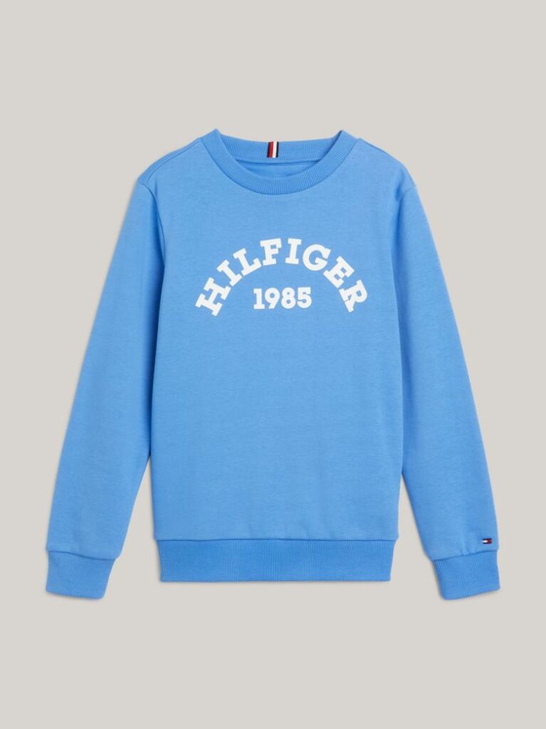 Blue Hilfiger Monotype 1985 Collection Sweatshirt  Boys