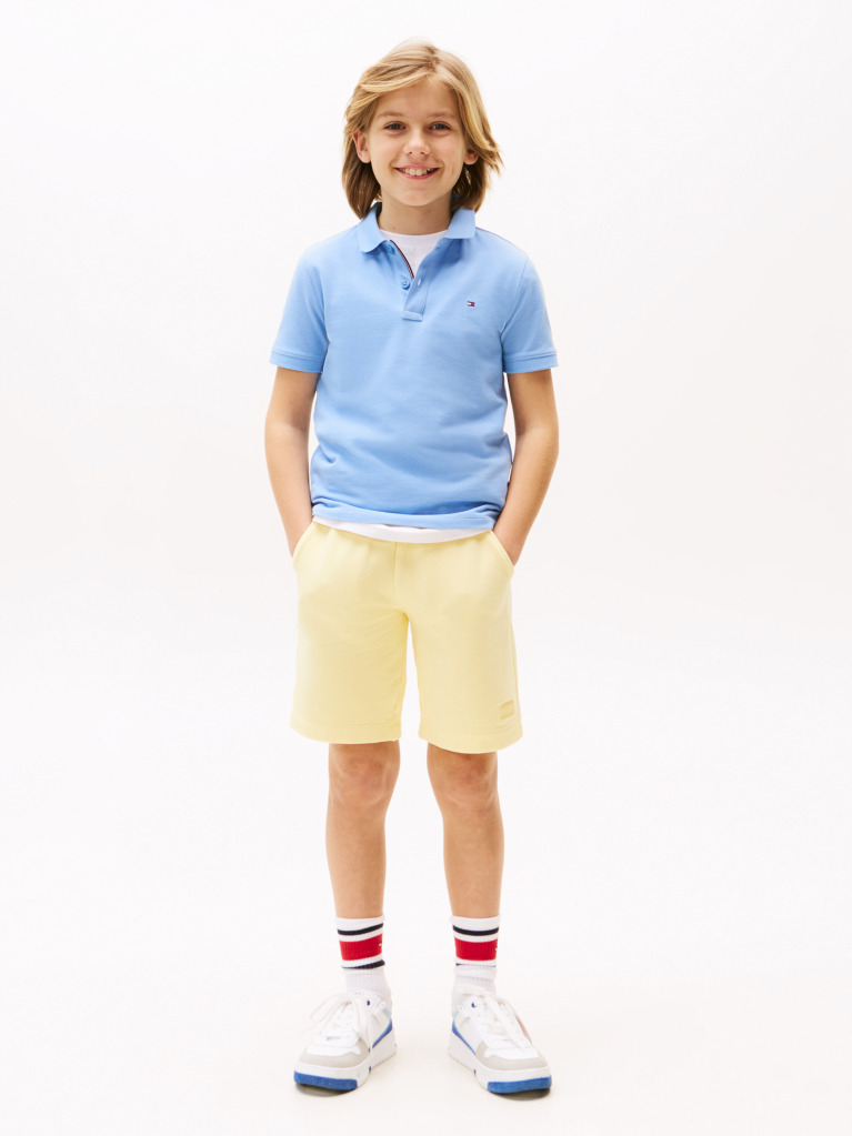 Blue Essential Flag Embroidery Regular Fit Polo  Boys