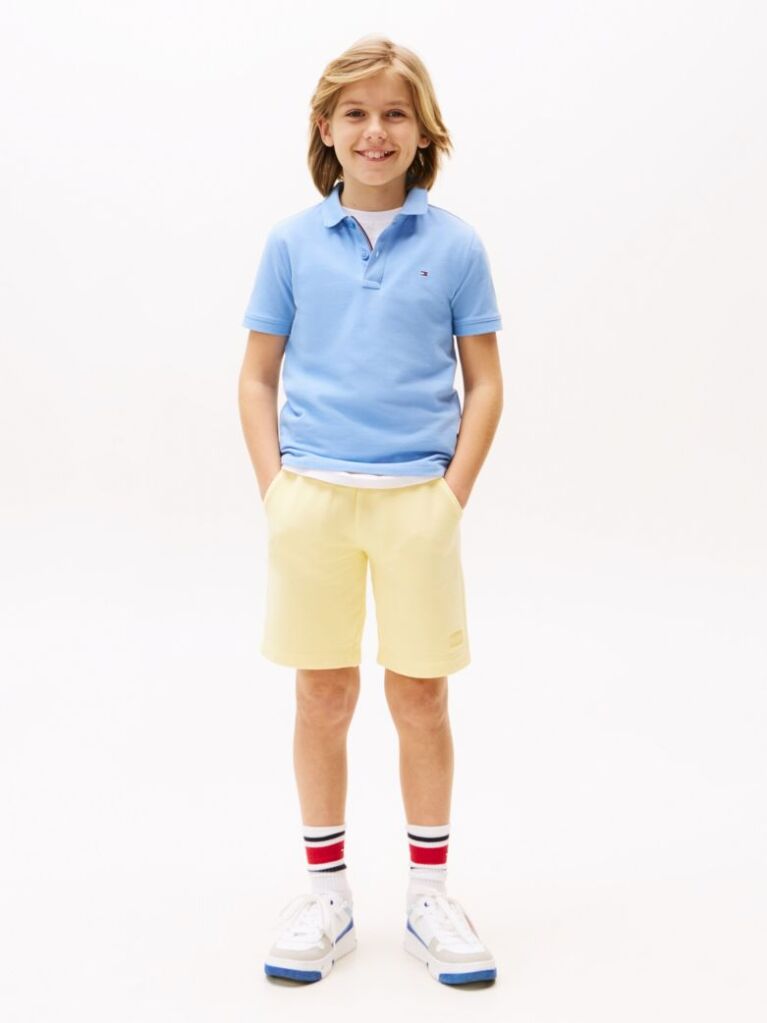 Blue Essential Flag Embroidery Regular Fit Polo  Boys