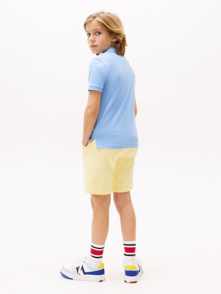 Blue Essential Flag Embroidery Regular Fit Polo  Boys