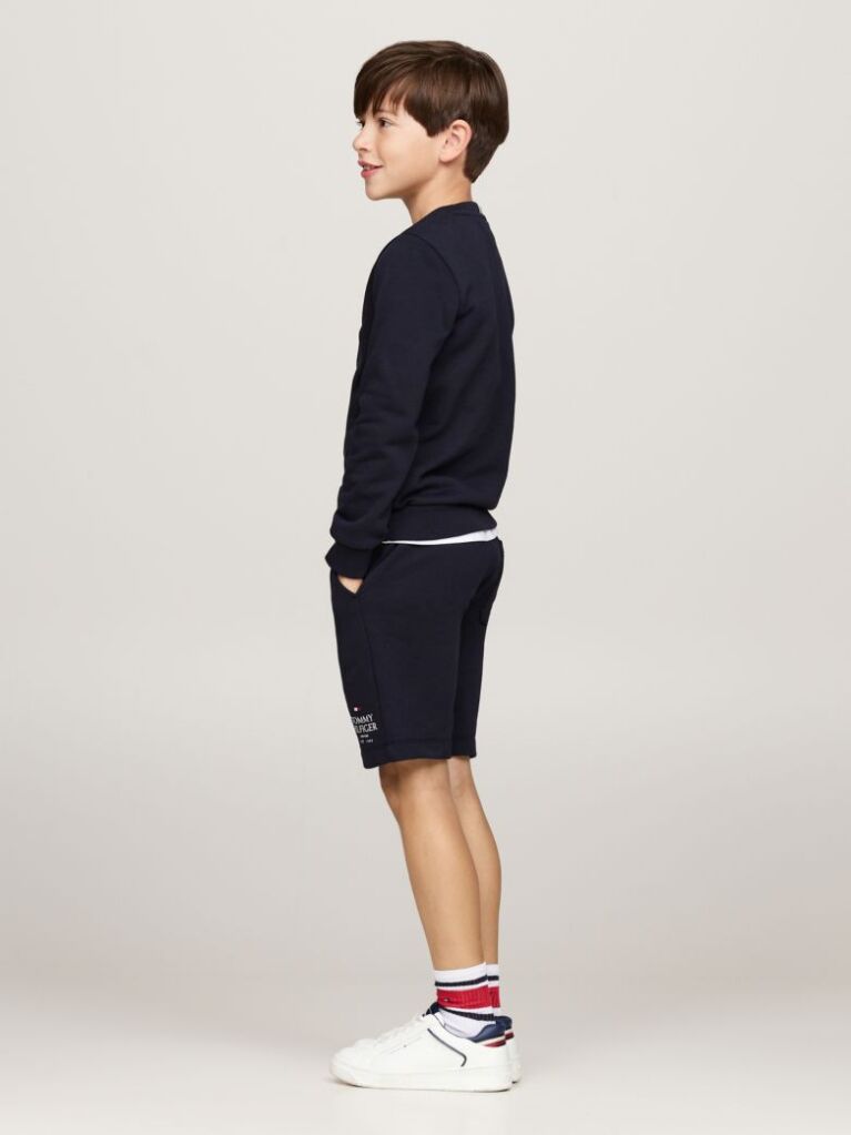 Blue Hanorac Cu Guler Rotund Si Logo Hilfiger  Baieti