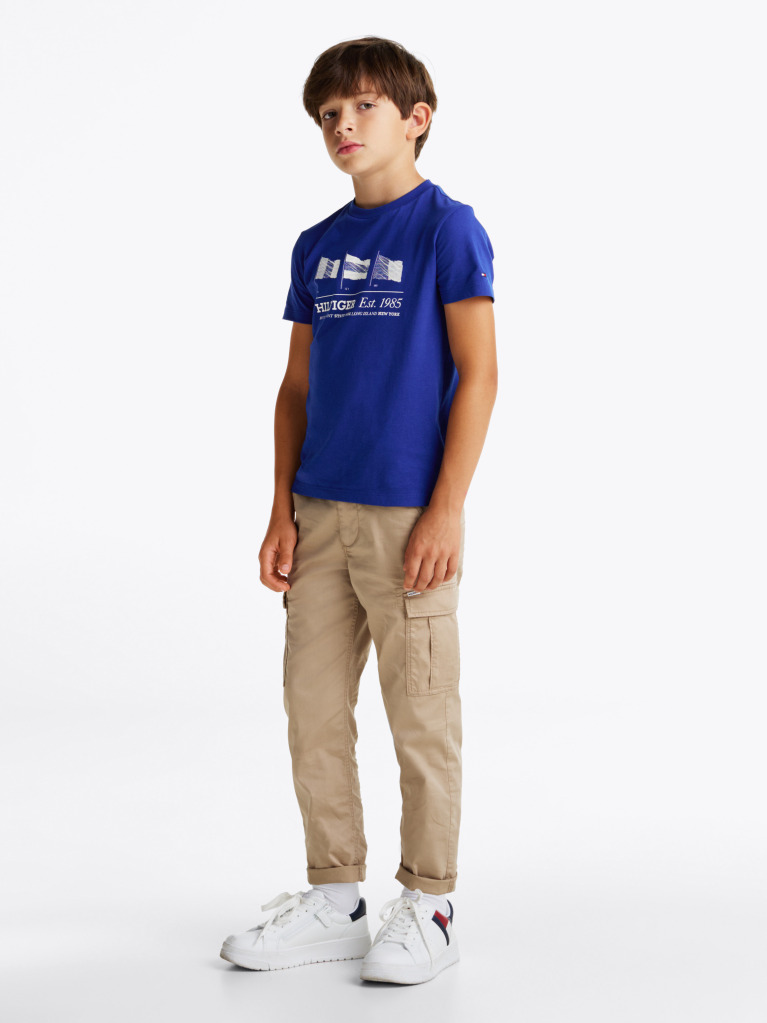 Blue Tricou Cu Guler Rotund Si Steag Grafic  Baieti