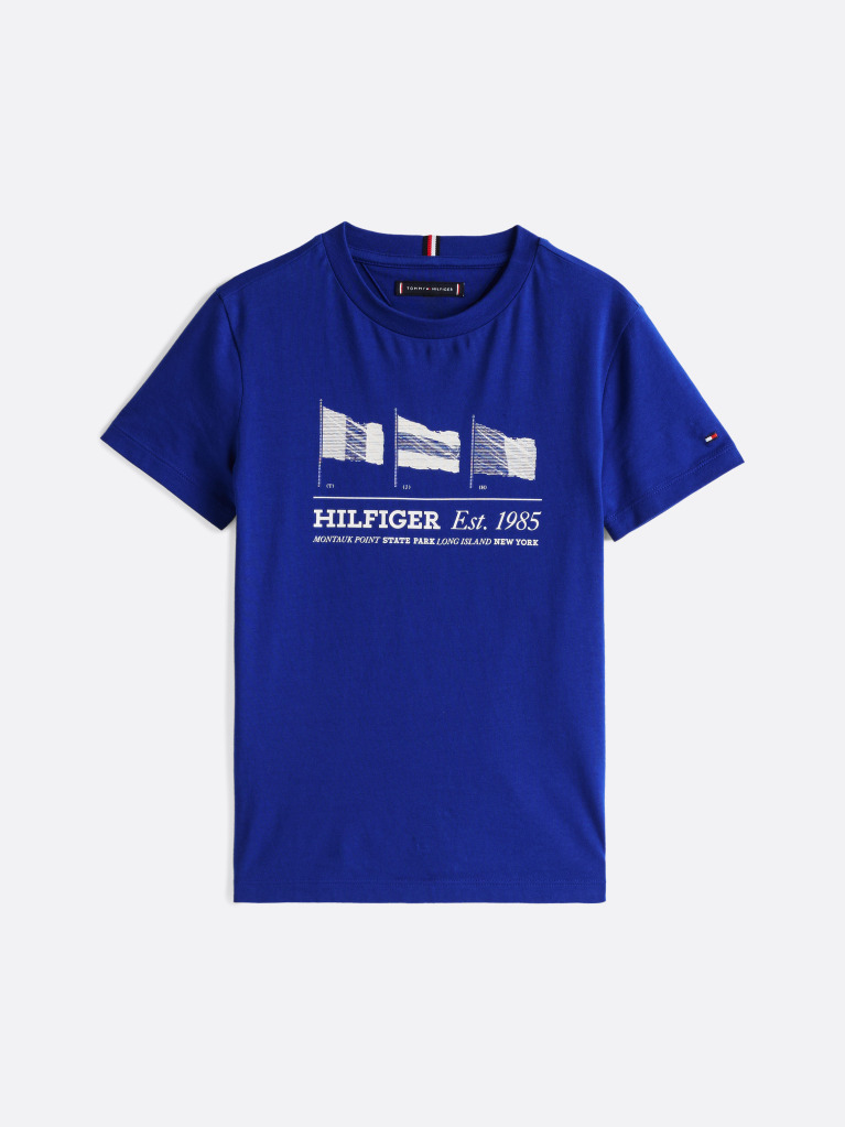 Blue Tricou Cu Guler Rotund Si Steag Grafic  Baieti