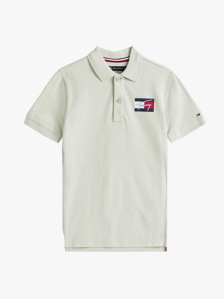 Verde Tricou Polo Regular Fit Cu Signature Logo  Baieti