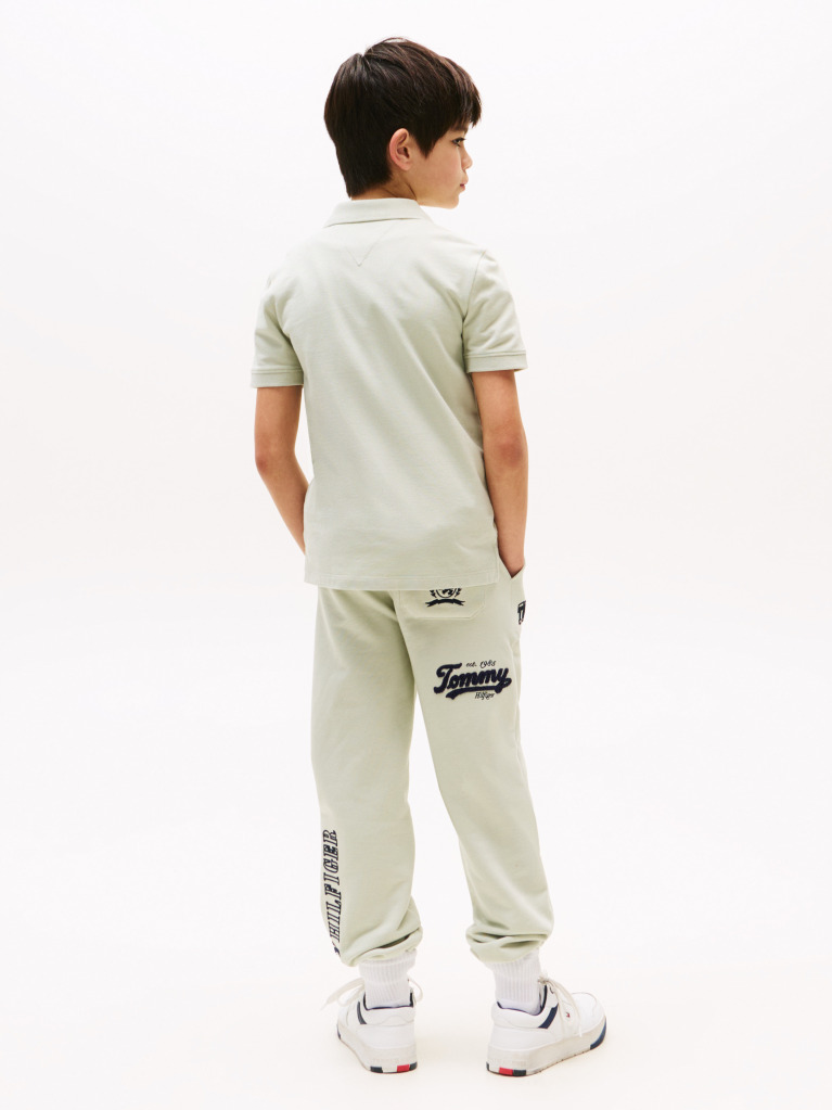 Verde Tricou Polo Regular Fit Cu Signature Logo  Baieti