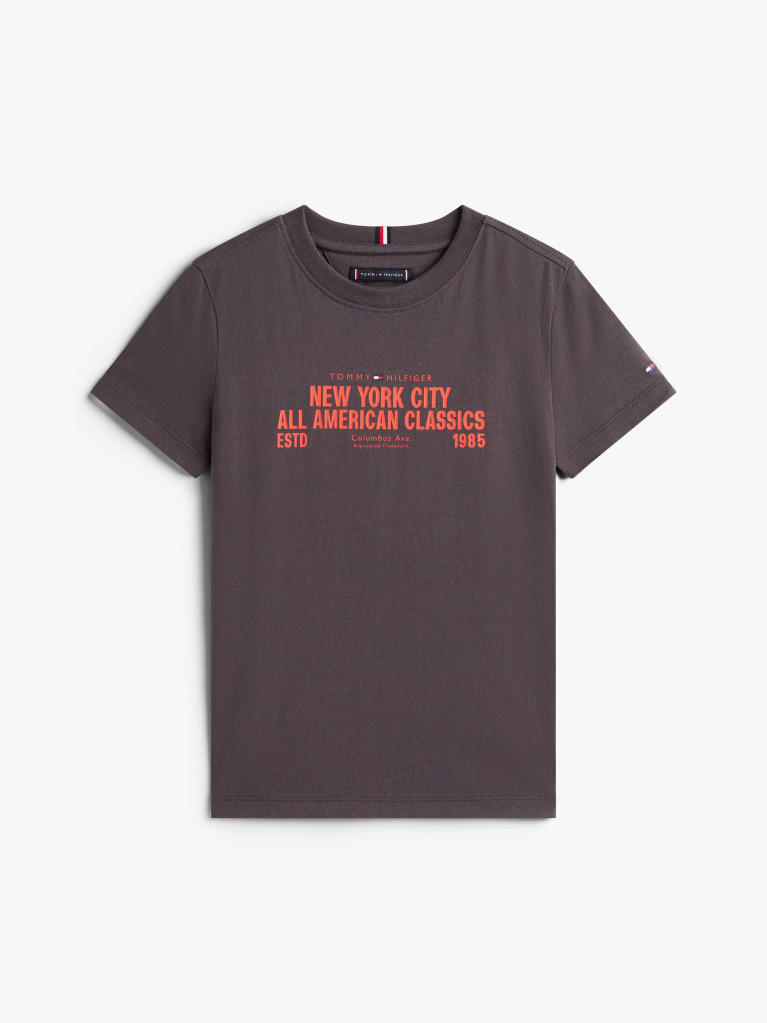 Grey NYC Print Graphic Short Sleeve Tee  Boys