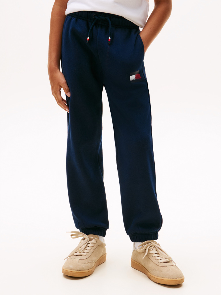 Blue Pantaloni Jogger Regular Cu Emblema Steag Hilfiger  Baieti