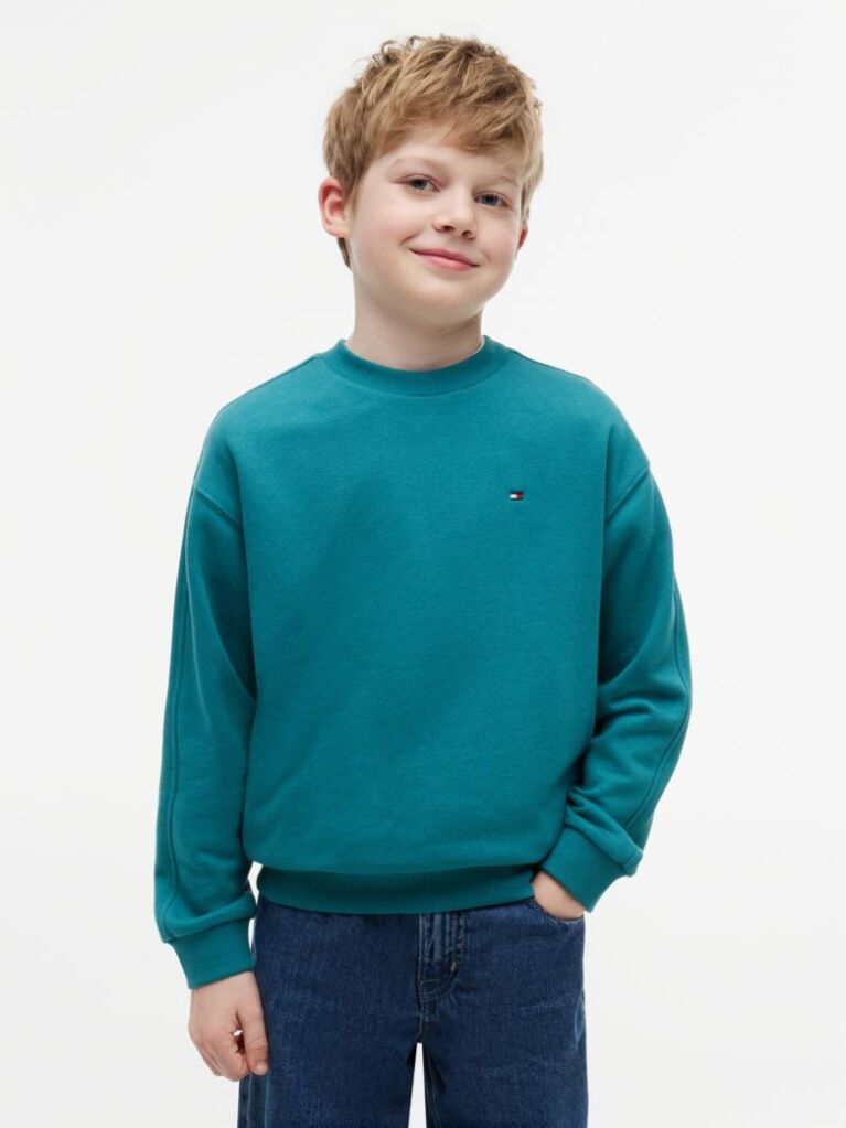 Blue Flag Embroidery Exaggerated Seam Jumper  Boys