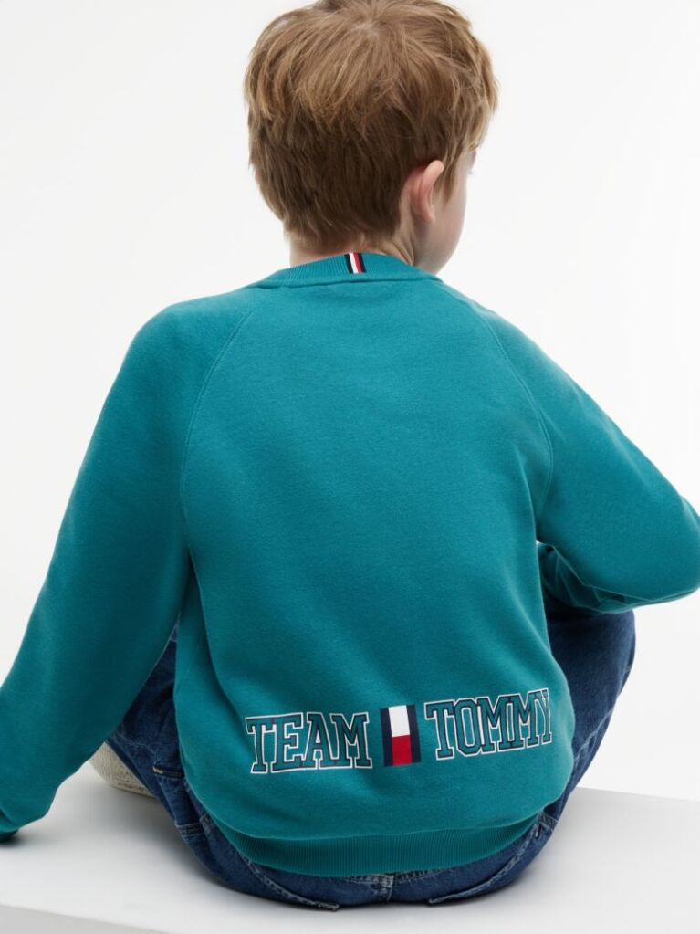 Blue Flag Embroidery Exaggerated Seam Jumper  Boys