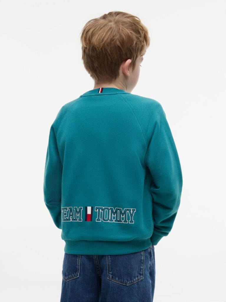 Blue Flag Embroidery Exaggerated Seam Jumper  Boys