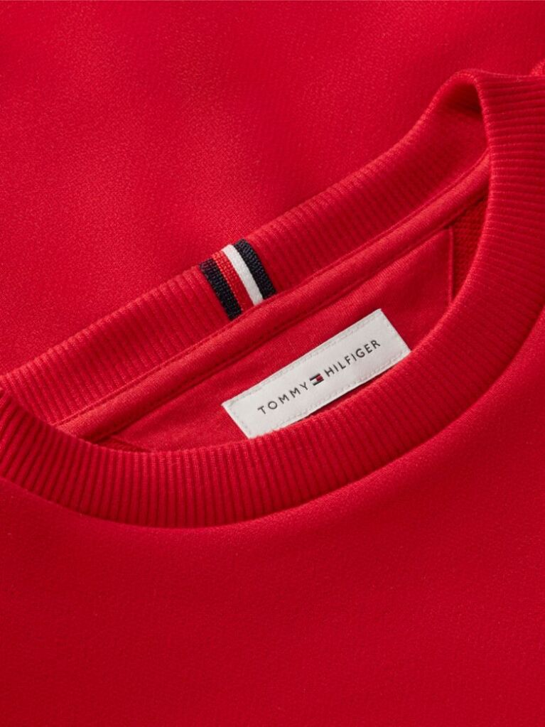 Red Outline Flag Logo Terry Sweatshirt  Boys