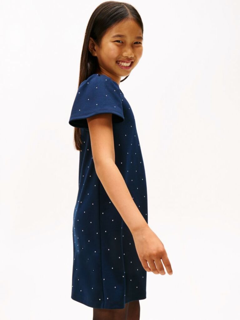 Blue Festive Stud A-Line Dress  Girls