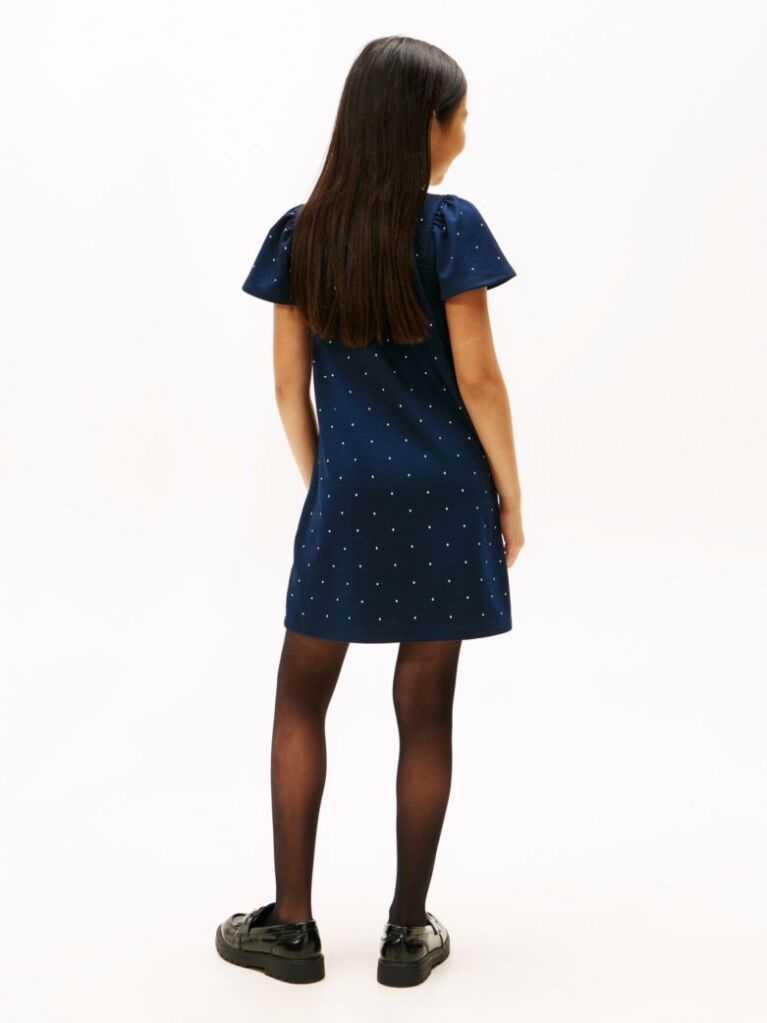 Blue Festive Stud A-Line Dress  Girls
