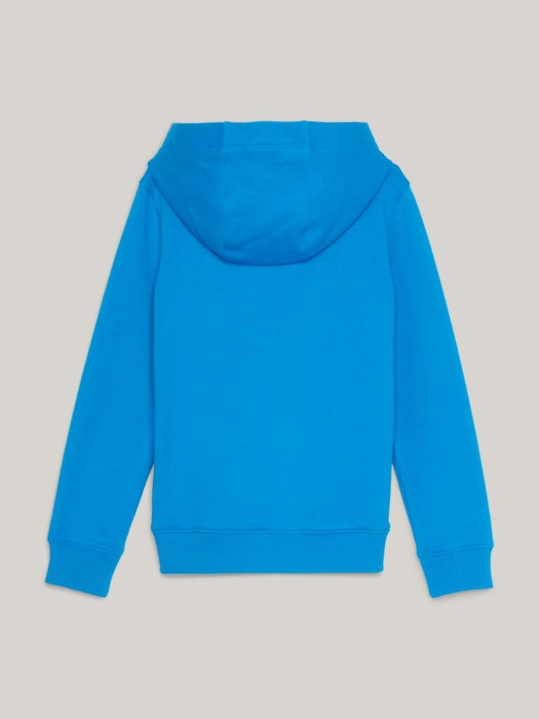 Blue Essential Logo Hoody  Kids Unisex