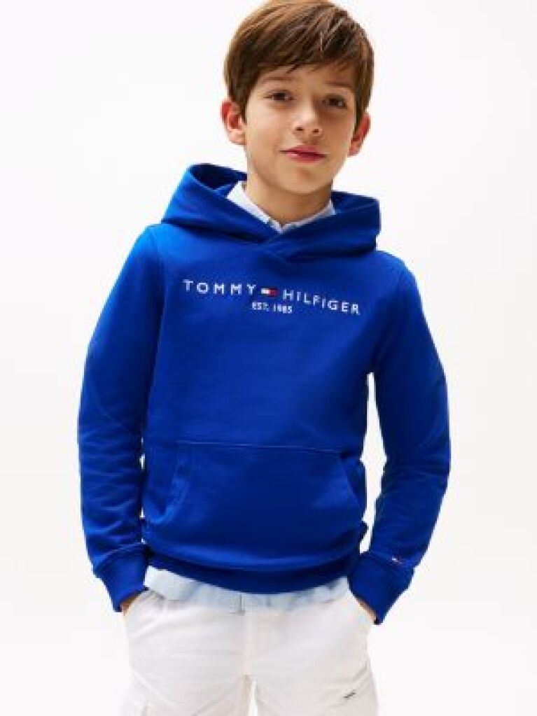 Blue Essential Logo Hoody  Kids Unisex