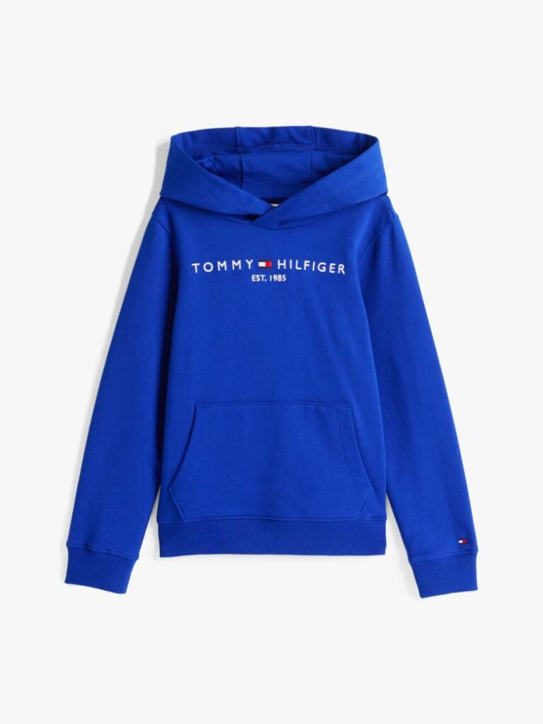 Blue Essential Logo Hoody  Kids Unisex