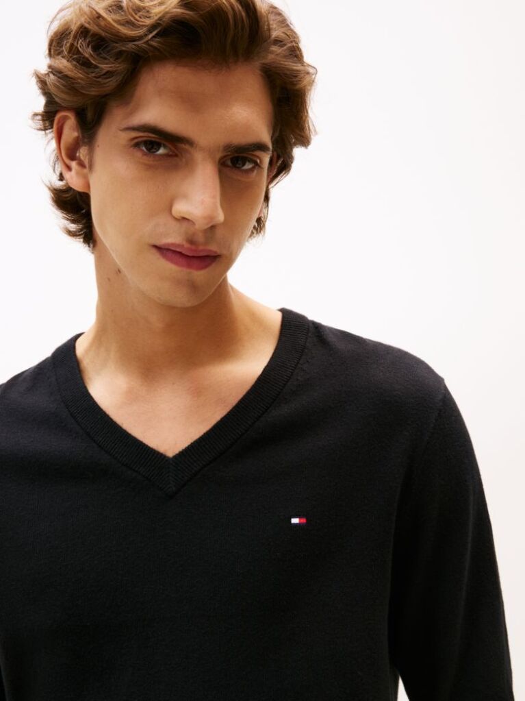 Black V-Neck Regular Fit Jumper  Men