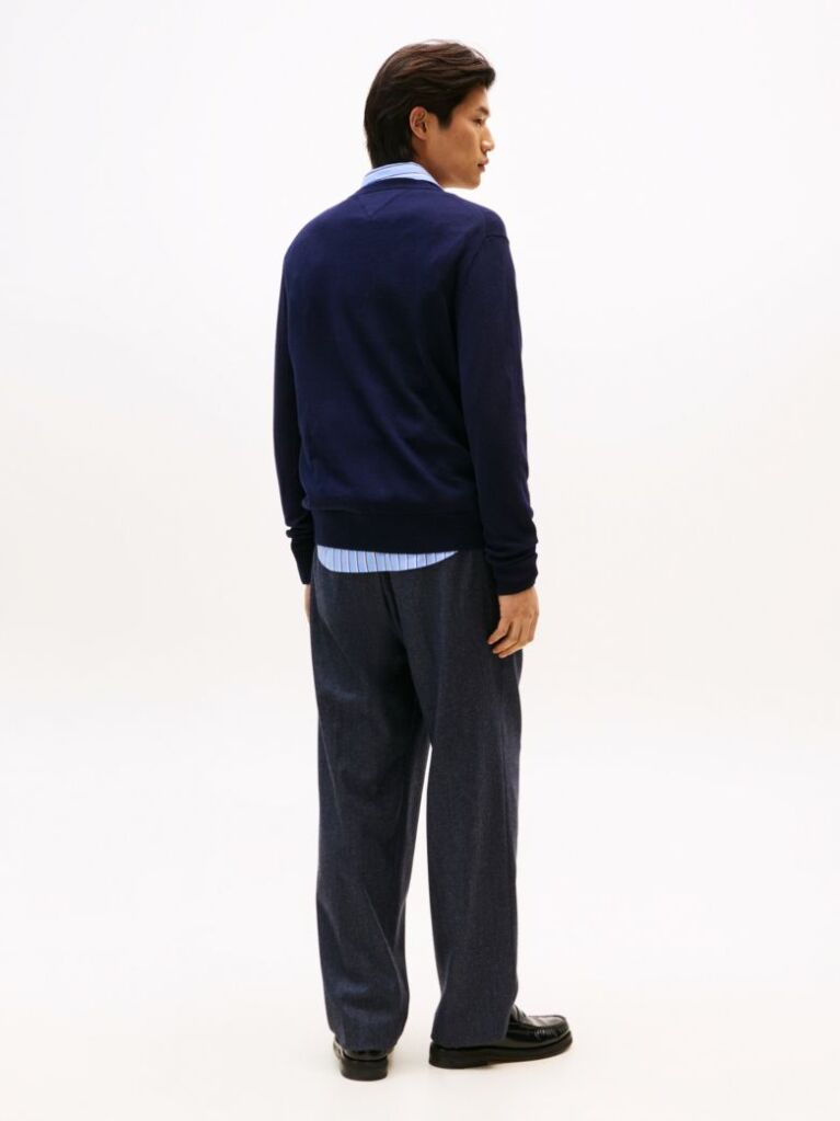 Blue V-Neck Regular Fit Jumper  Men