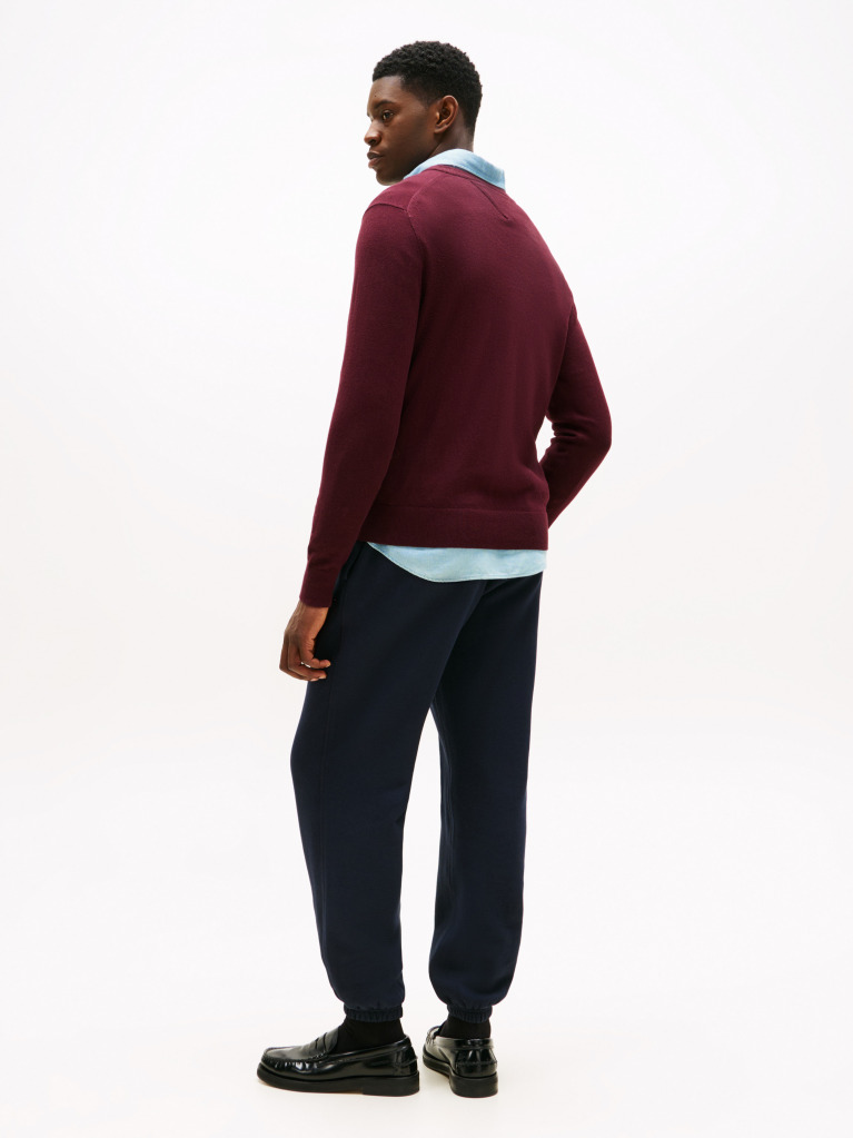 Red V-Neck Regular Fit Jumper  Men