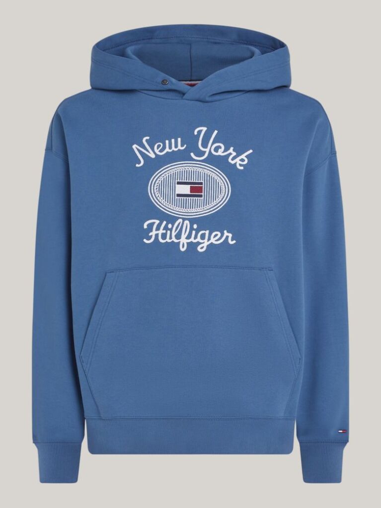 Blue Logo Embroidery Hoody  Men