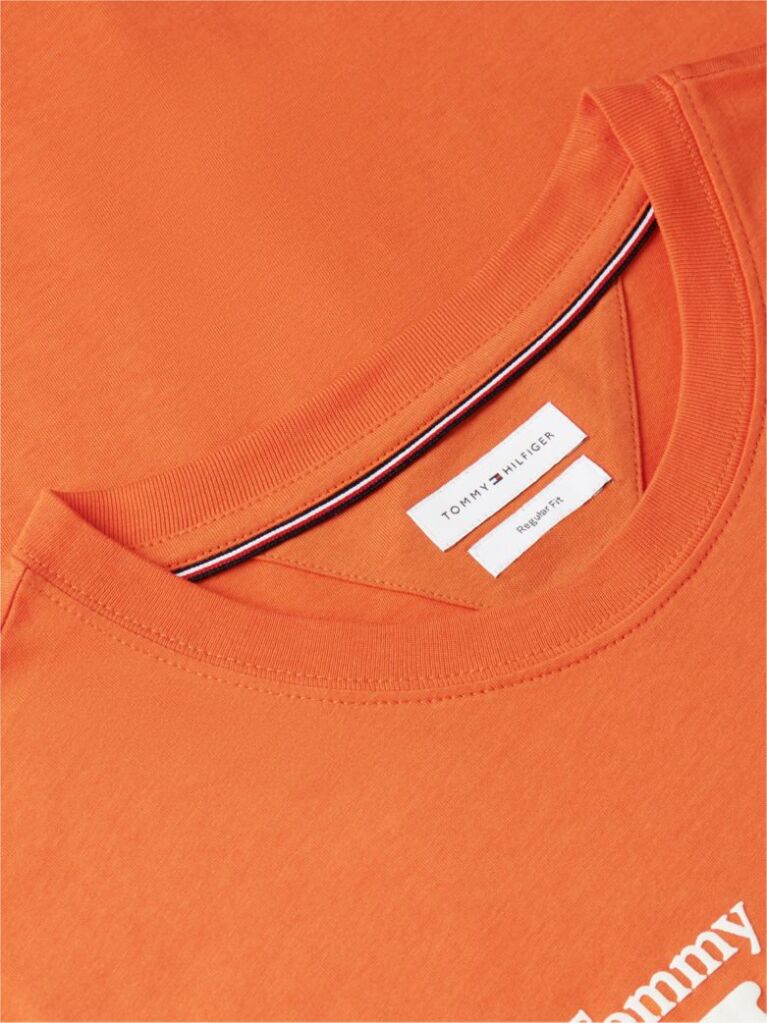 Orange Logo Graphic Jersey T-Shirt  Men
