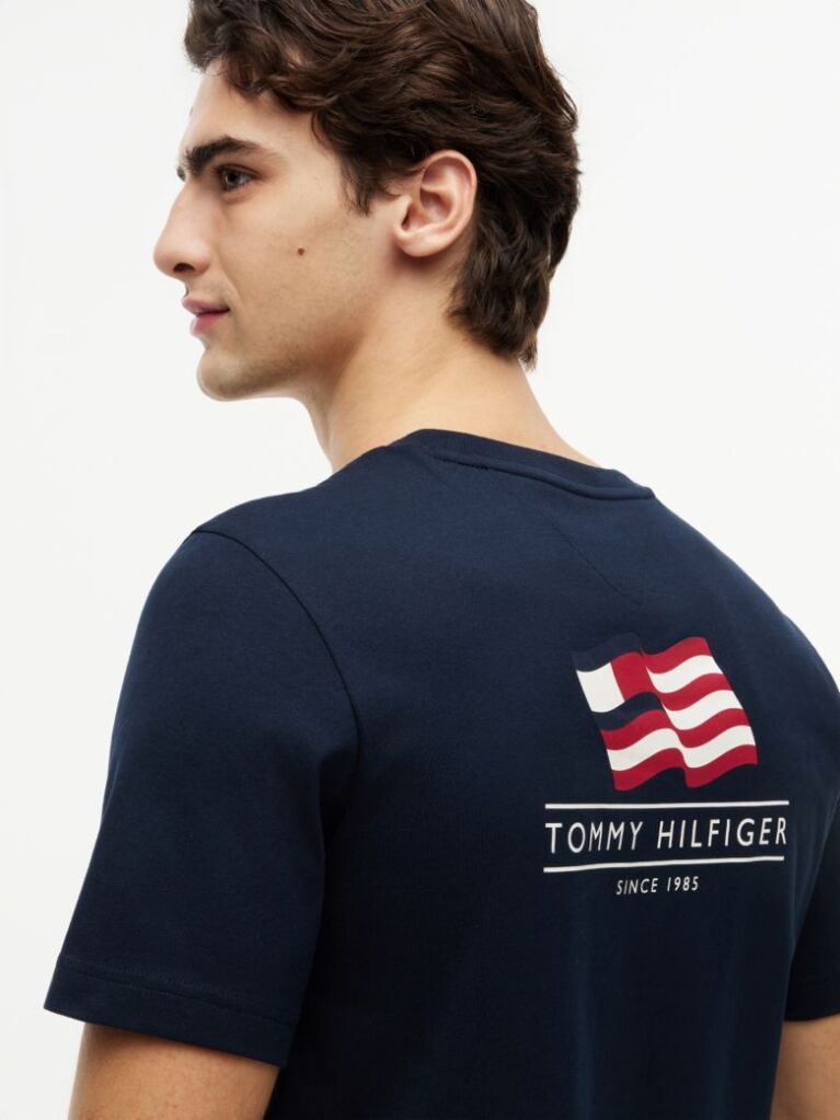 Blue Wavy Flag Back Graphic Jersey T-Shirt  Men