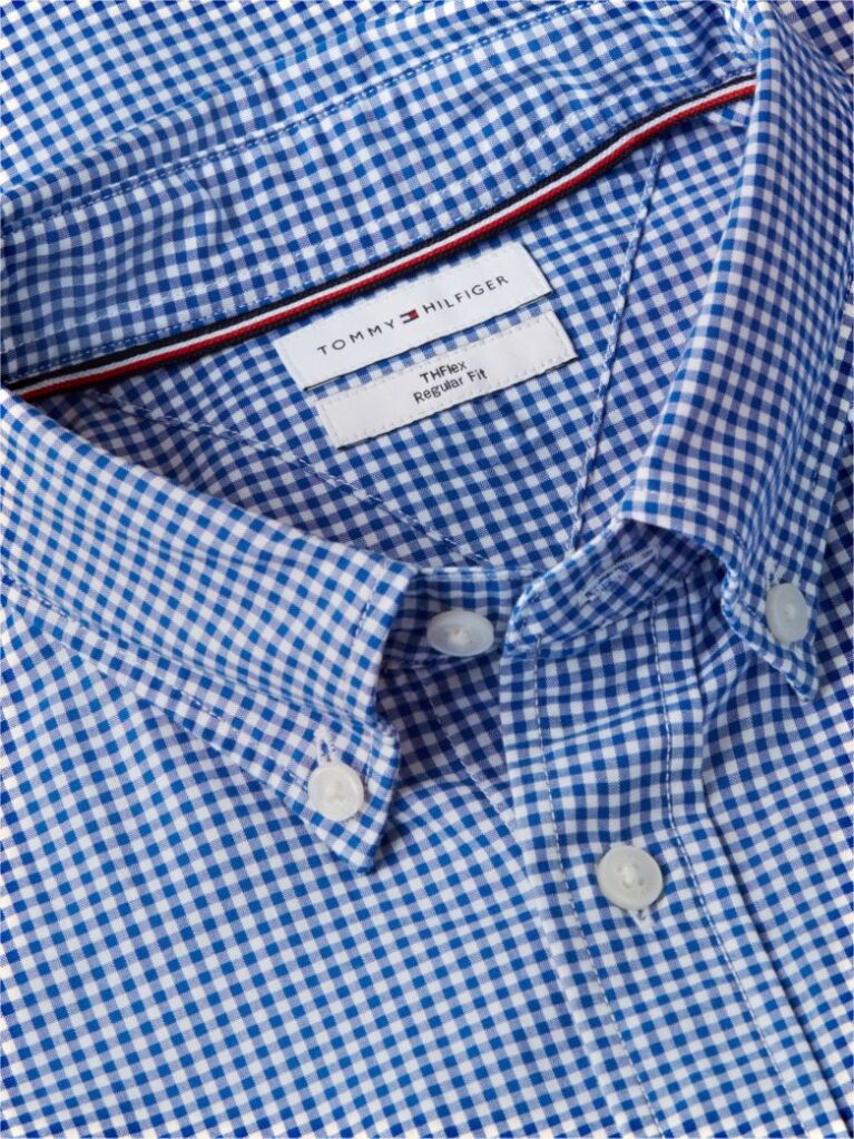 Blue Camasa Gingham Flex Cu Croiala Regular  Barbati