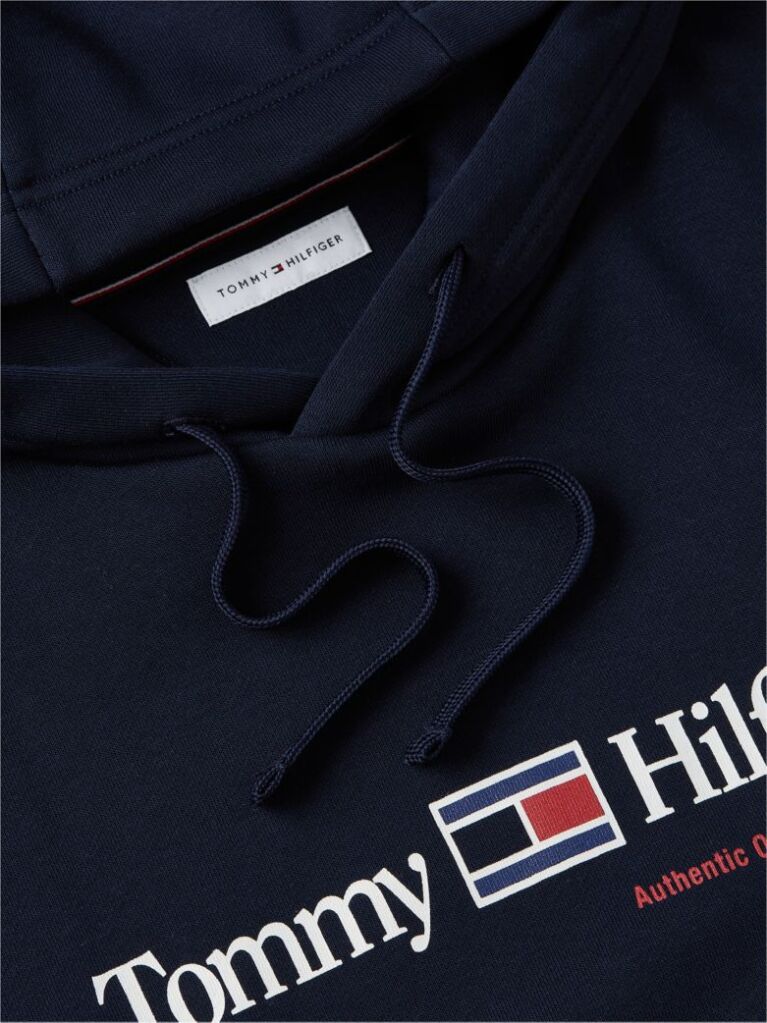 Blue Hanorac Cu Fleece Logo Si Cordon  Barbati