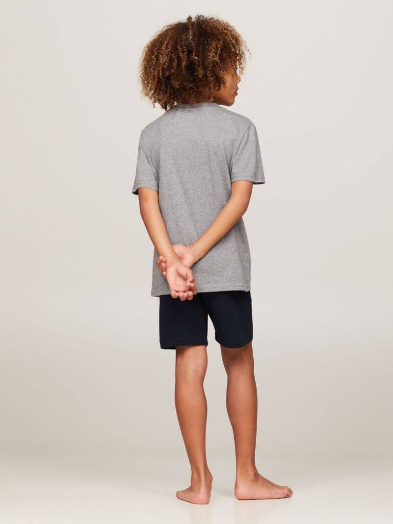 Multi 2-Pack Crew Neck T-Shirts  Boys