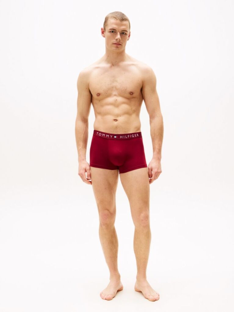 Multi 3-Pack TH Original Logo Waistband Trunks  Men