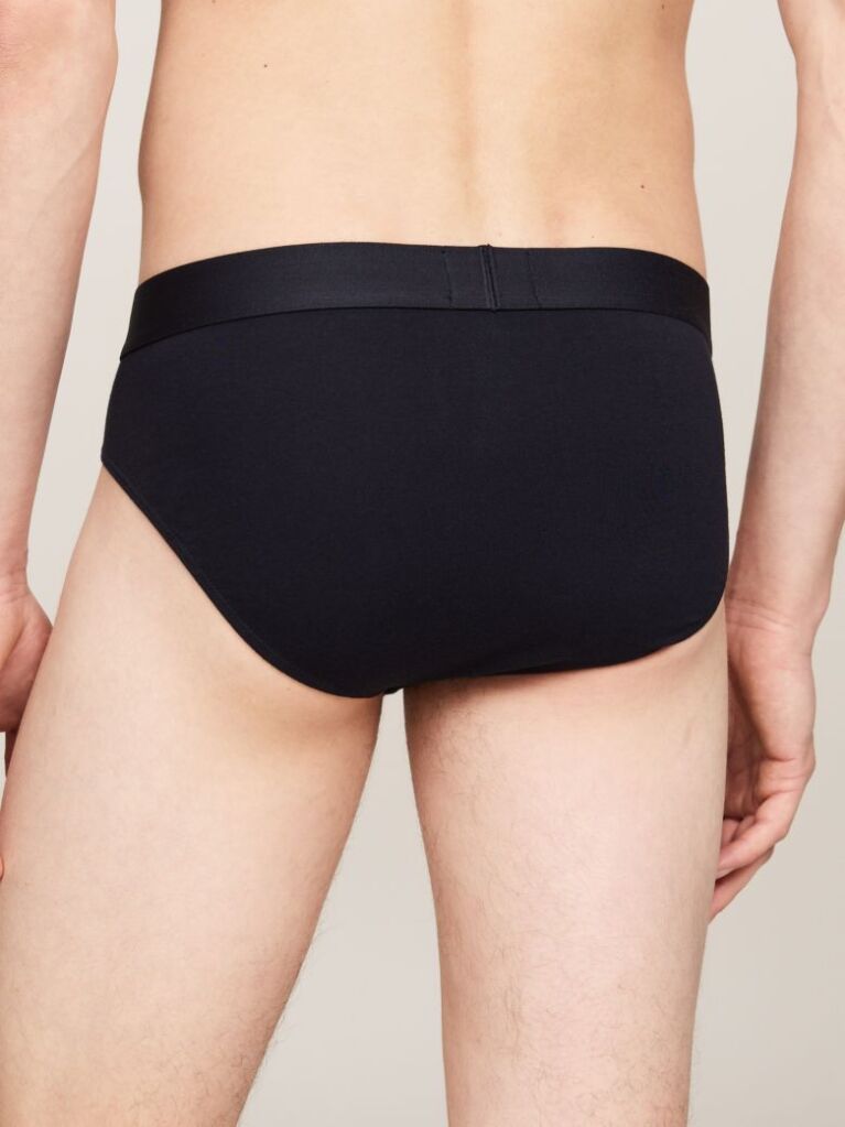 Multi 3-Pack TH Original Logo Waistband Briefs  Men