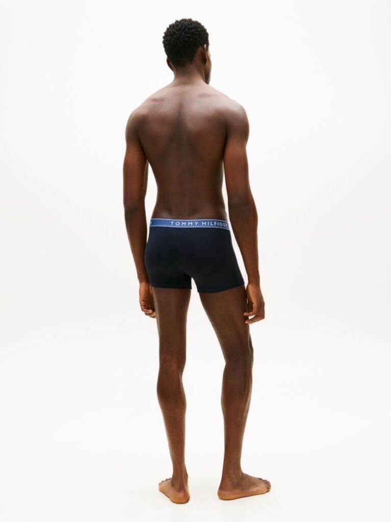 Multi 3-Pack Essential Logo Waistband Trunks  Men