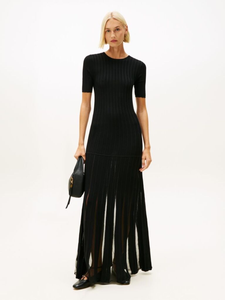 Black Festive Mesh Pleat Slim Maxi Dress  Women